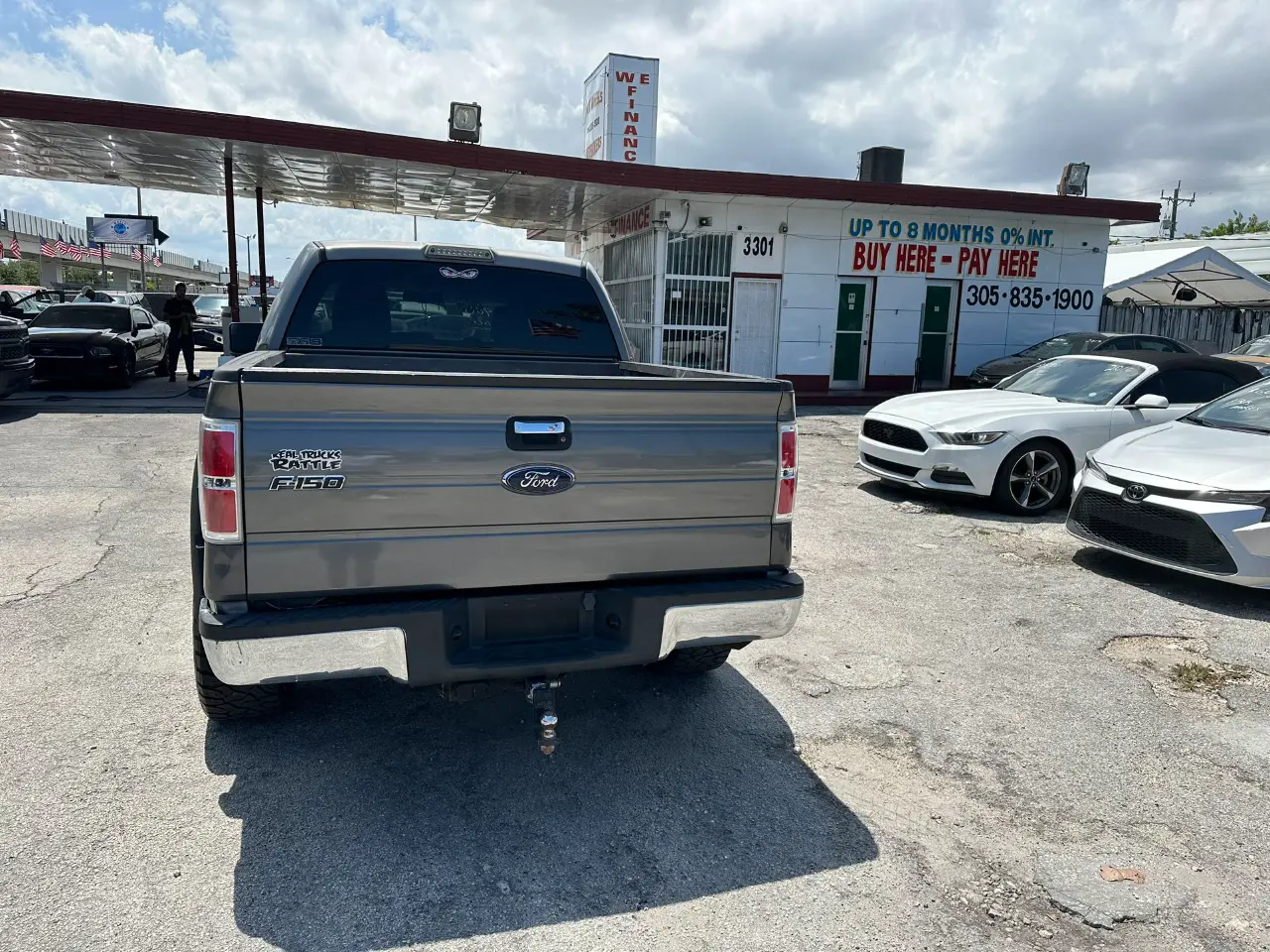 used 2010 Ford F-150 - back view