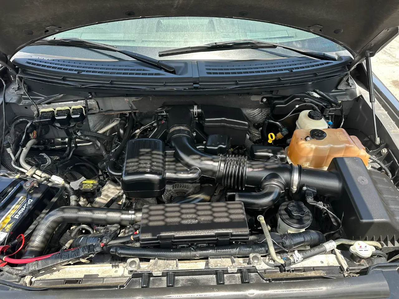 used 2010 Ford F-150 - engine view