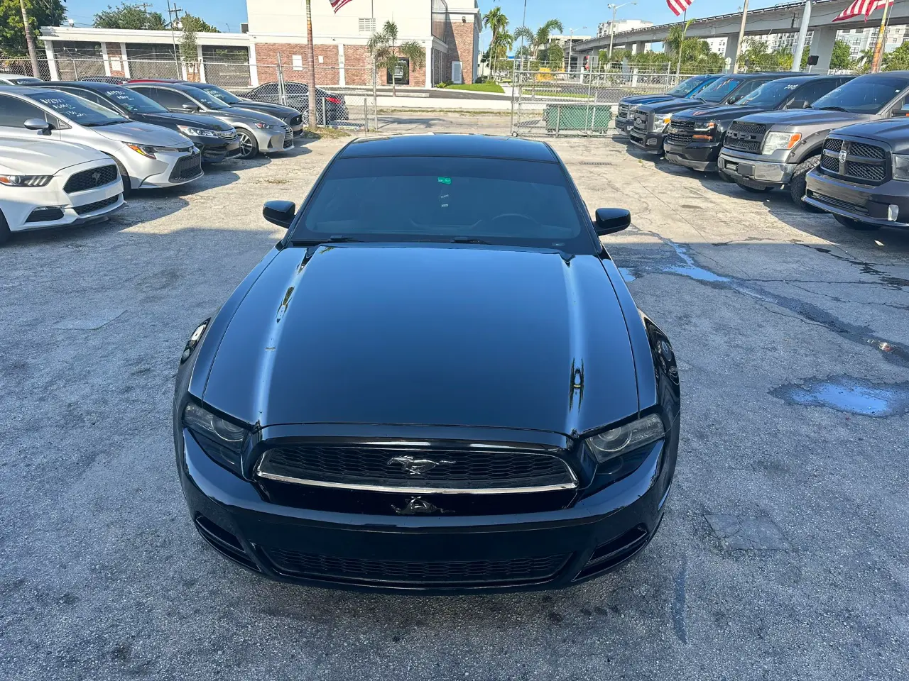 used 2014 Ford Mustang - front view 2