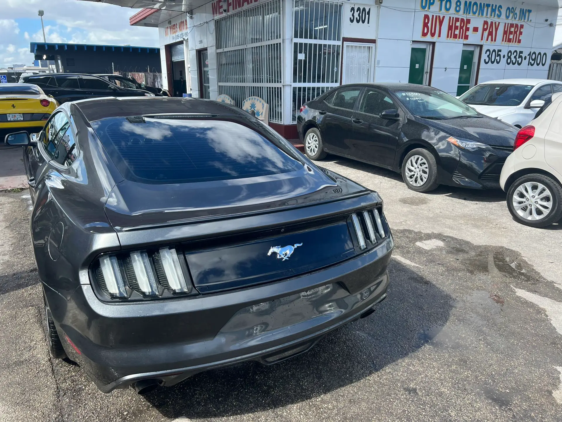 used 2017 Ford Mustang - back view