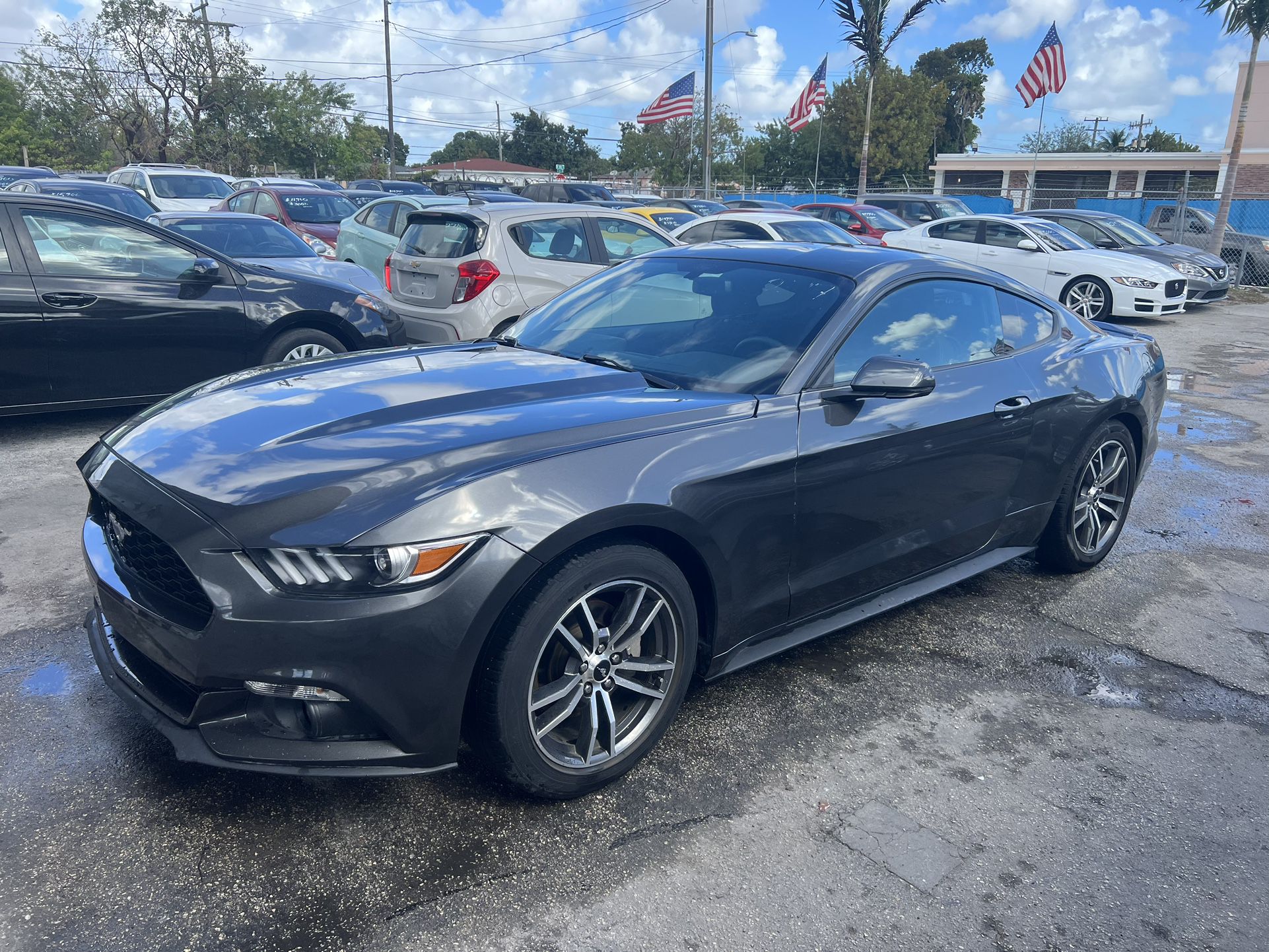 used 2017 Ford Mustang - front view 3