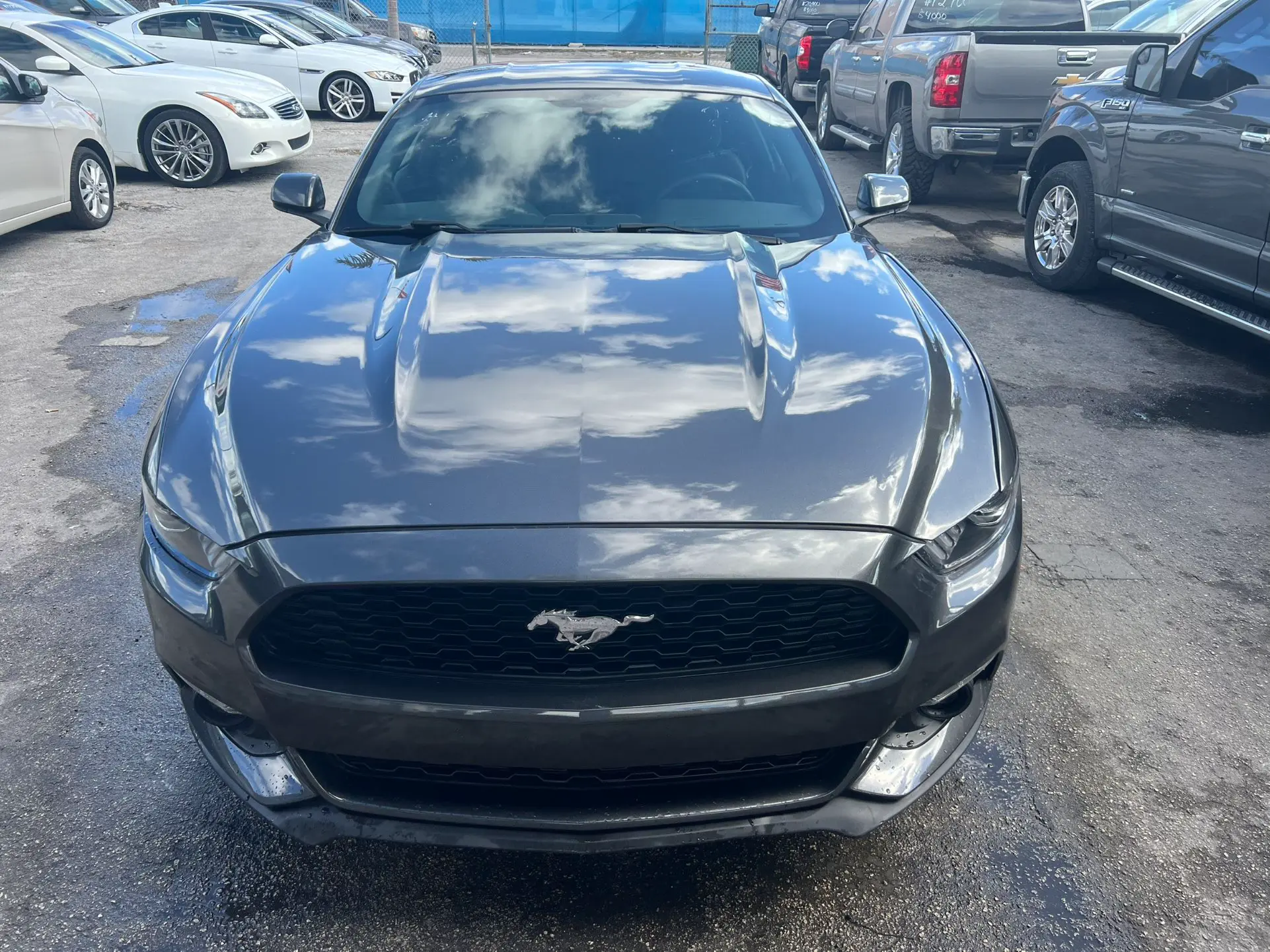 used 2017 Ford Mustang - front view 2
