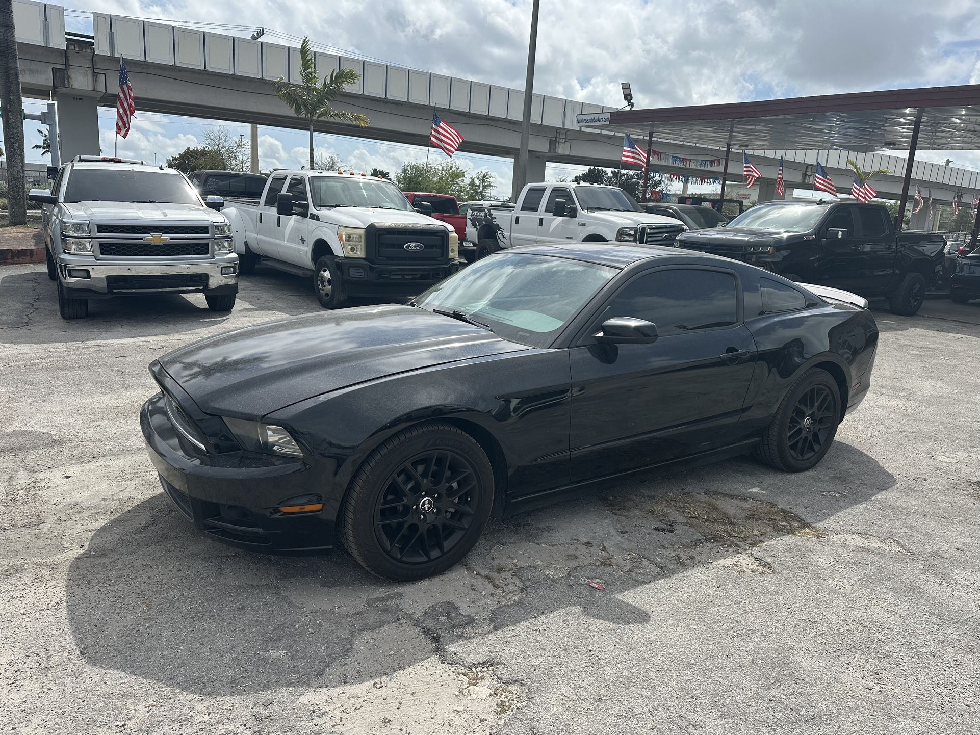 used 2014 ford mustang - back view